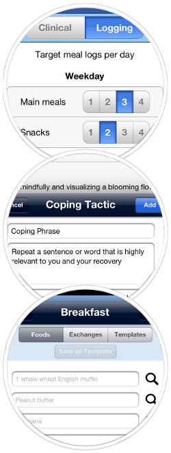 Goals, Coping Skills, and Meal Planning features